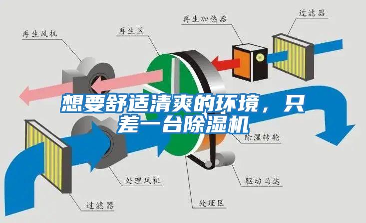 想要舒適清爽的環(huán)境，只差一臺除濕機