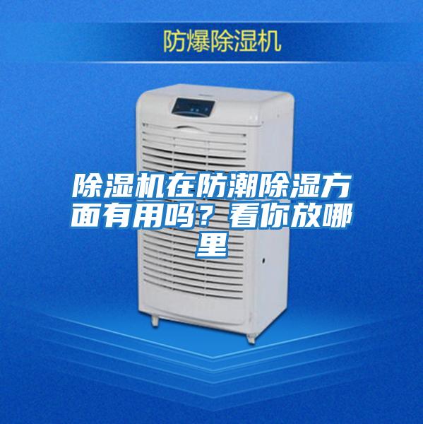 除濕機在防潮除濕方面有用嗎？看你放哪里