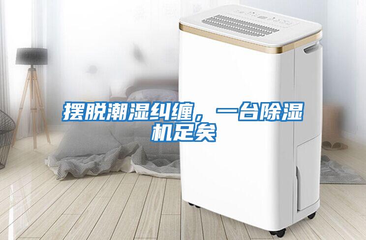 擺脫潮濕糾纏，一臺除濕機足矣