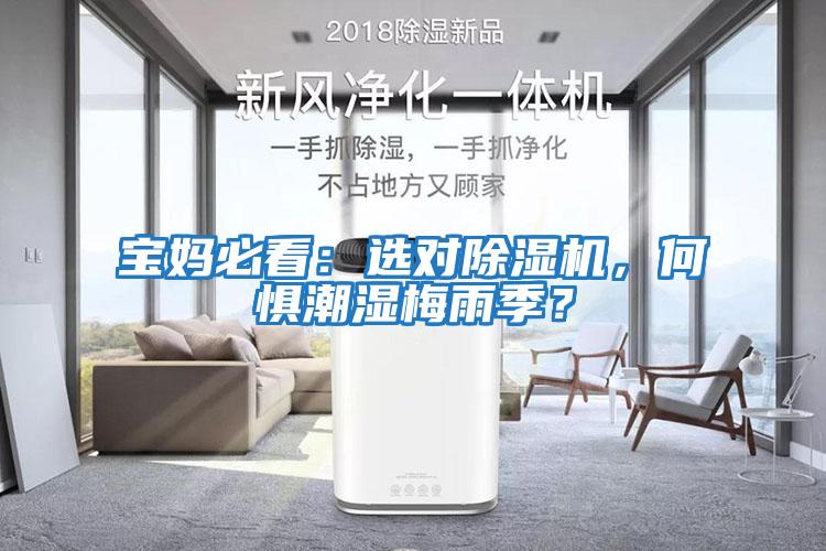 寶媽必看：選對除濕機(jī)，何懼潮濕梅雨季？