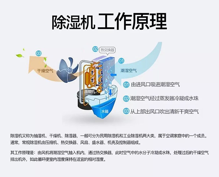 旱澇急轉更明顯，除濕機顯身手