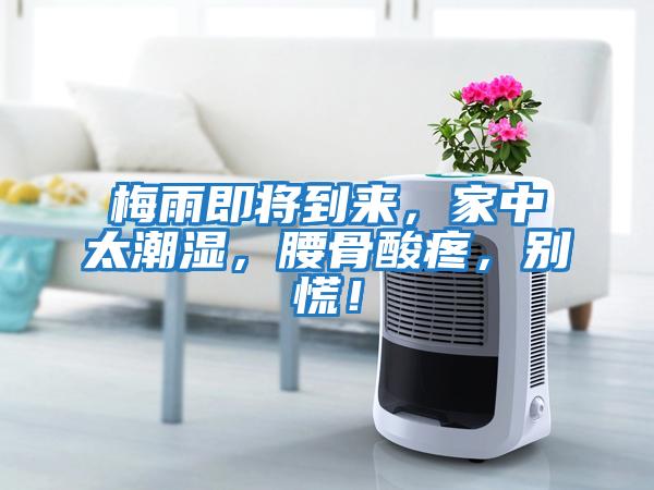 梅雨即將到來，家中太潮濕，腰骨酸疼，別慌！