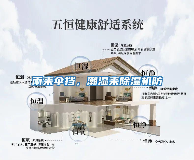 雨來傘擋，潮濕來除濕機防