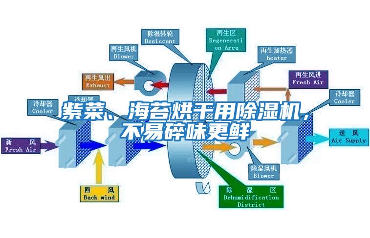 紫菜、海苔烘干用除濕機(jī)，不易碎味更鮮