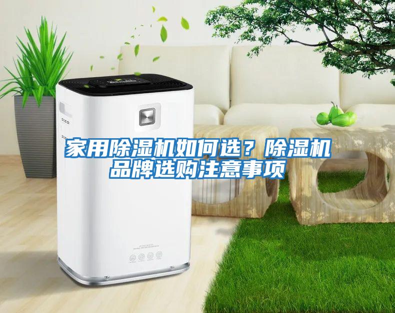 家用除濕機如何選？除濕機品牌選購注意事項
