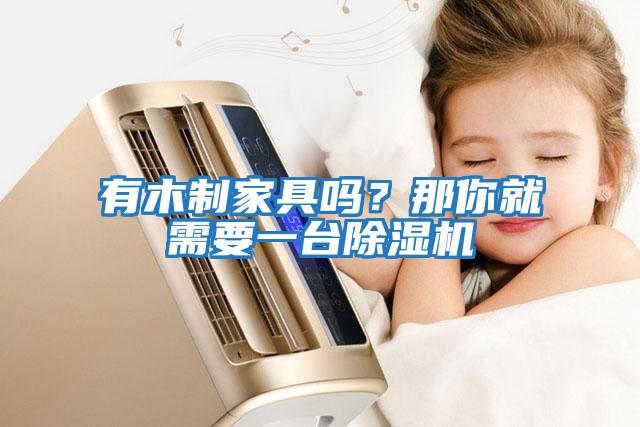 有木制家具嗎？那你就需要一臺除濕機