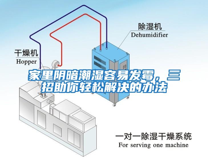 家里陰暗潮濕容易發(fā)霉，三招助你輕松解決的辦法