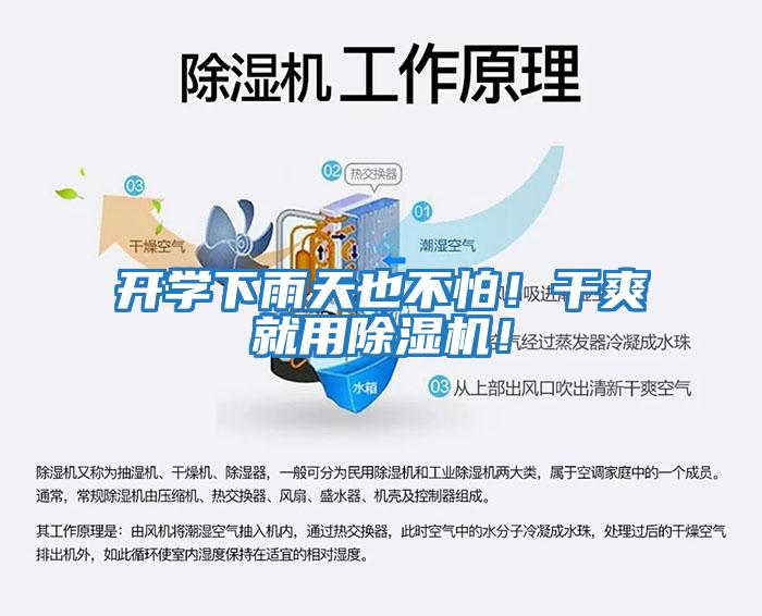 開學下雨天也不怕！干爽就用除濕機！