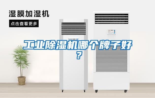 工業除濕機哪個牌子好？