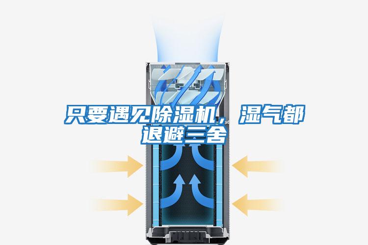只要遇見除濕機，濕氣都退避三舍