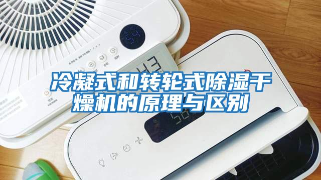 冷凝式和轉(zhuǎn)輪式除濕干燥機的原理與區(qū)別