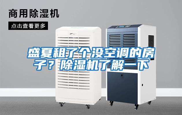 盛夏租了個沒空調(diào)的房子？除濕機(jī)了解一下