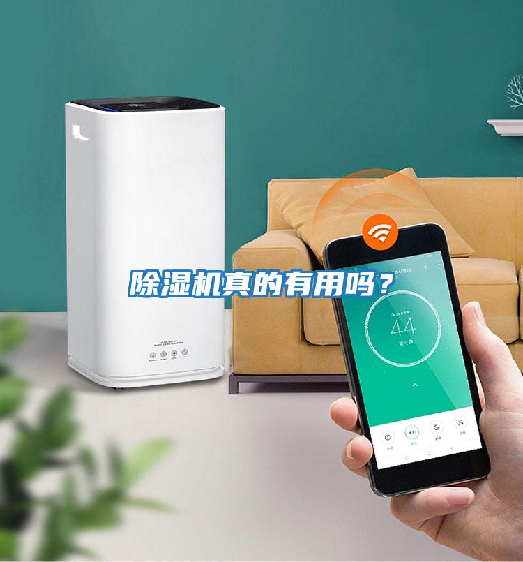 除濕機(jī)真的有用嗎？