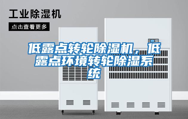 低露點轉輪除濕機，低露點環(huán)境轉輪除濕系統(tǒng)