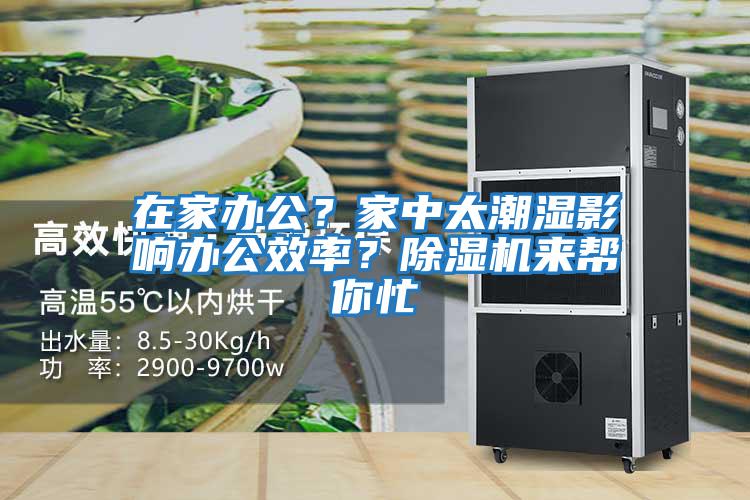 在家辦公？家中太潮濕影響辦公效率？除濕機(jī)來幫你忙