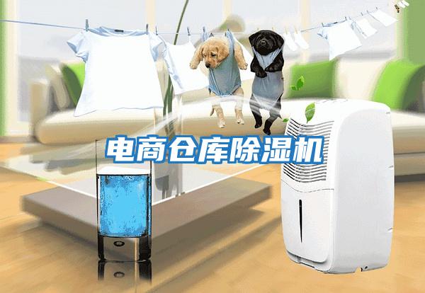 電商倉庫除濕機(jī)