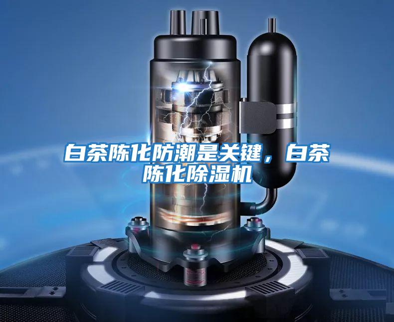 白茶陳化防潮是關鍵，白茶陳化除濕機