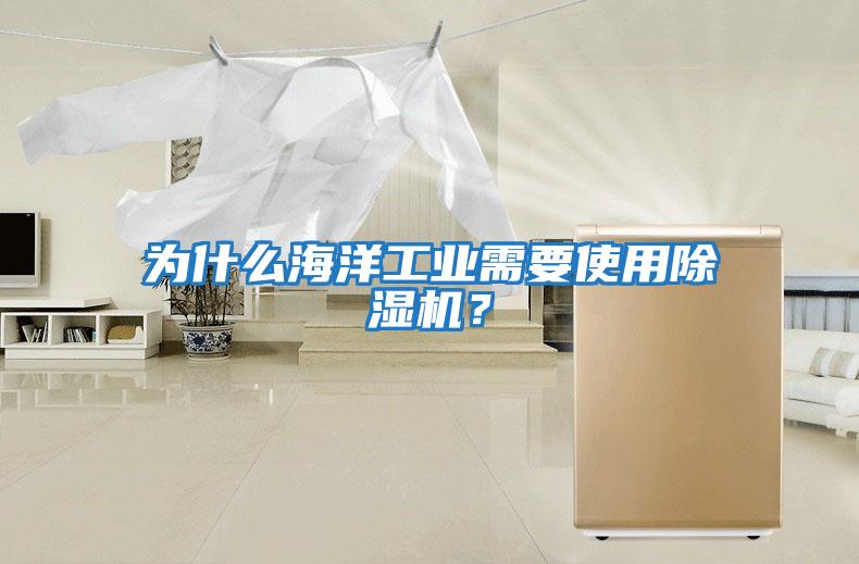 為什么海洋工業需要使用除濕機？