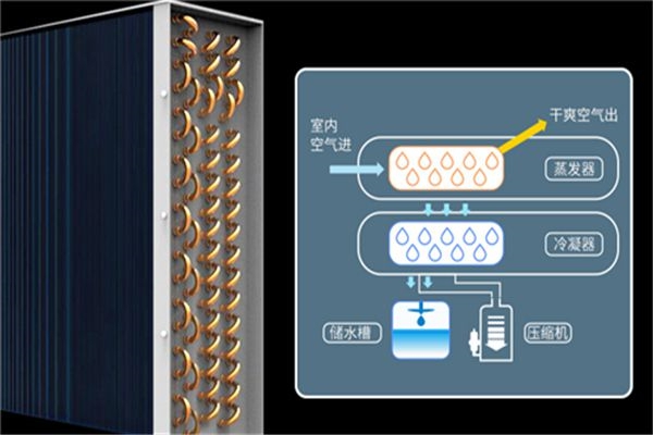 這些行業需要應用工業除濕機，你知道有哪些嗎？