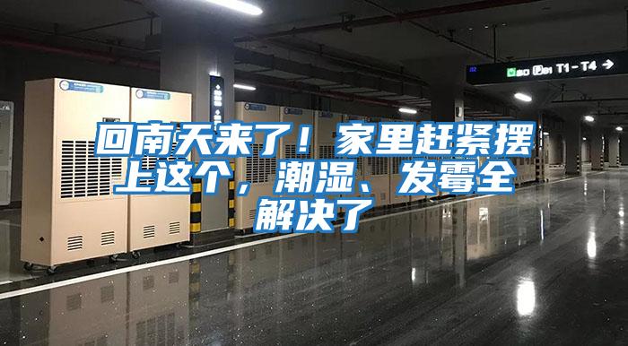 回南天來了！家里趕緊擺上這個，潮濕、發霉全解決了