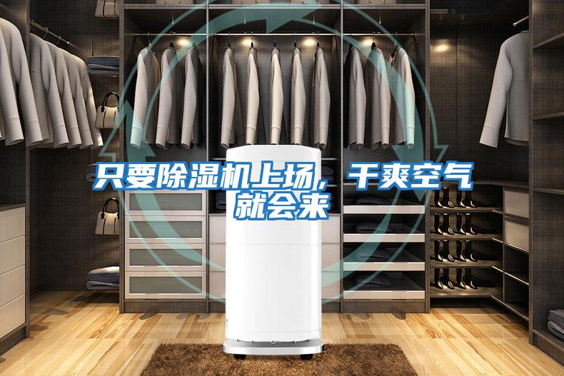 只要除濕機上場，干爽空氣就會來