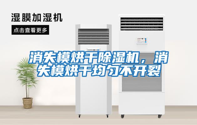 消失模烘干除濕機(jī)，消失模烘干均勻不開(kāi)裂