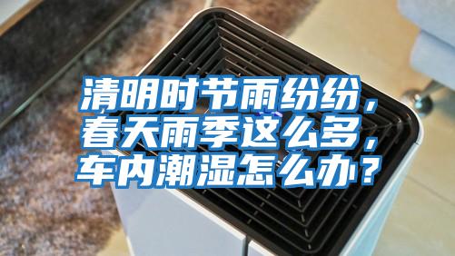 清明時(shí)節(jié)雨紛紛，春天雨季這么多，車內(nèi)潮濕怎么辦？