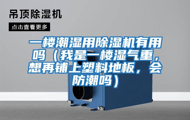 一樓潮濕用除濕機(jī)有用嗎（我是一樓濕氣重，想再鋪上塑料地板，會防潮嗎）