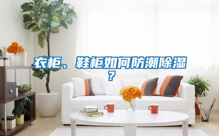 衣柜、鞋柜如何防潮除濕？