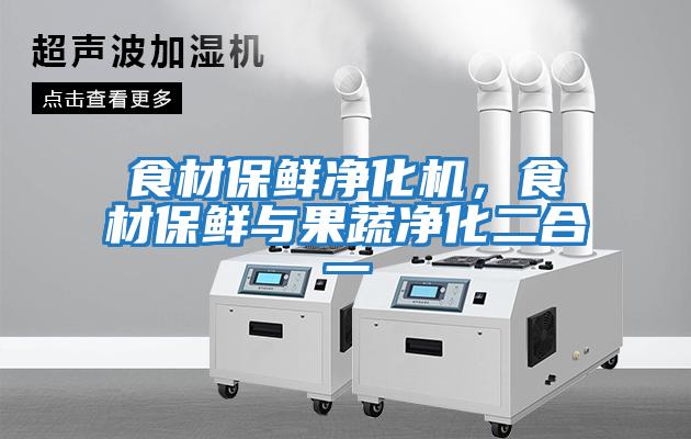 食材保鮮凈化機(jī)，食材保鮮與果蔬凈化二合一