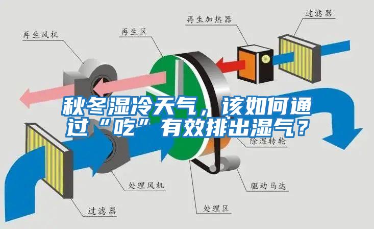 秋冬濕冷天氣，該如何通過“吃”有效排出濕氣？