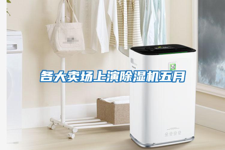 各大賣(mài)場(chǎng)上演除濕機(jī)五月
