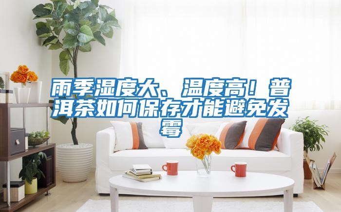 雨季濕度大、溫度高！普洱茶如何保存才能避免發霉