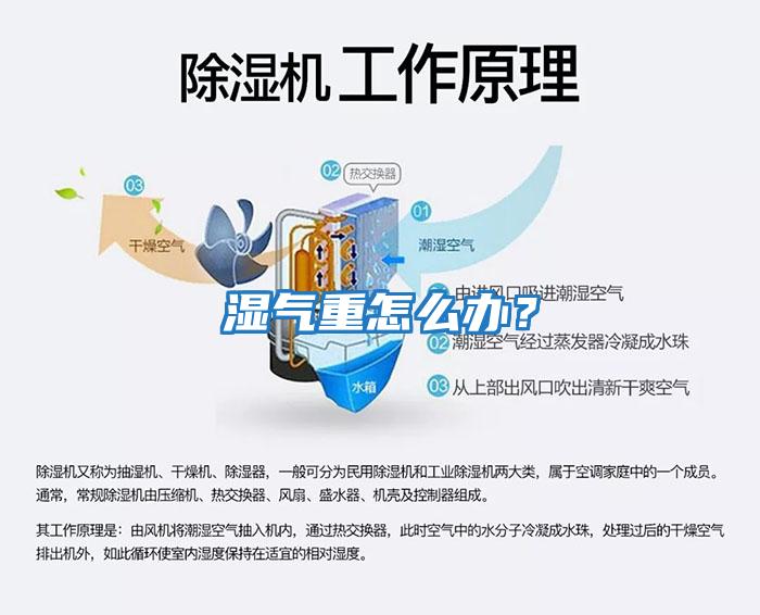 濕氣重怎么辦？