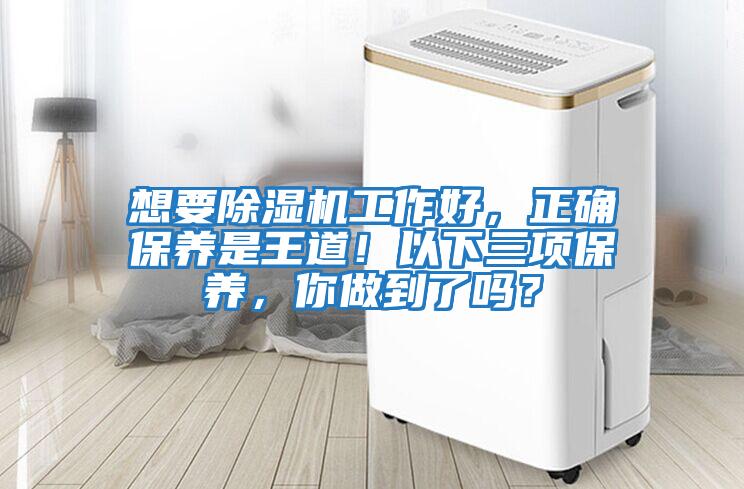 想要除濕機工作好，正確保養是王道！以下三項保養，你做到了嗎？