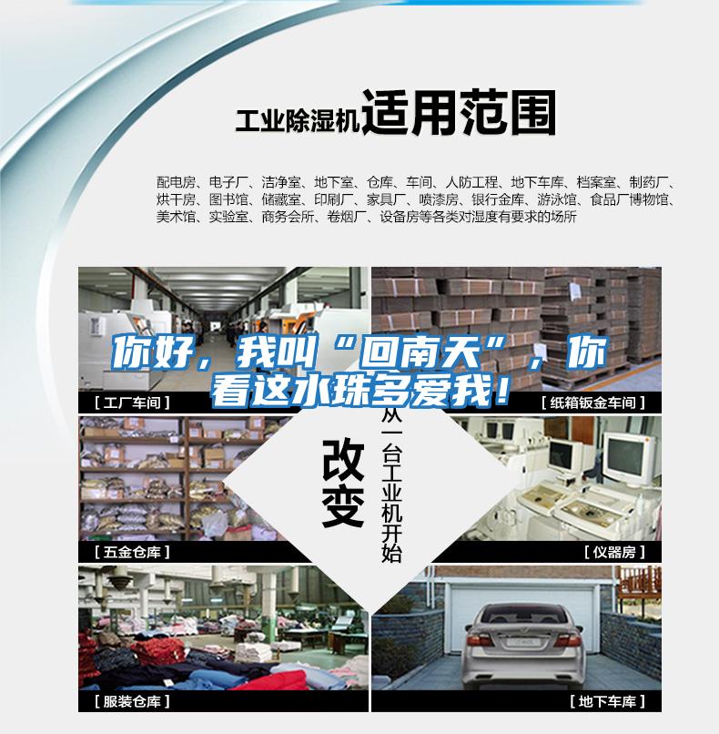你好，我叫“回南天”，你看這水珠多愛我！