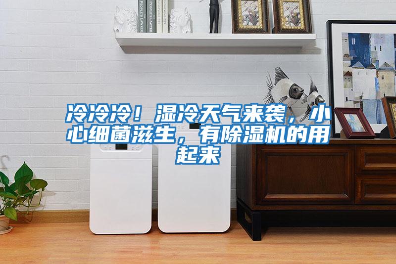 冷冷冷！濕冷天氣來襲，小心細菌滋生，有除濕機的用起來