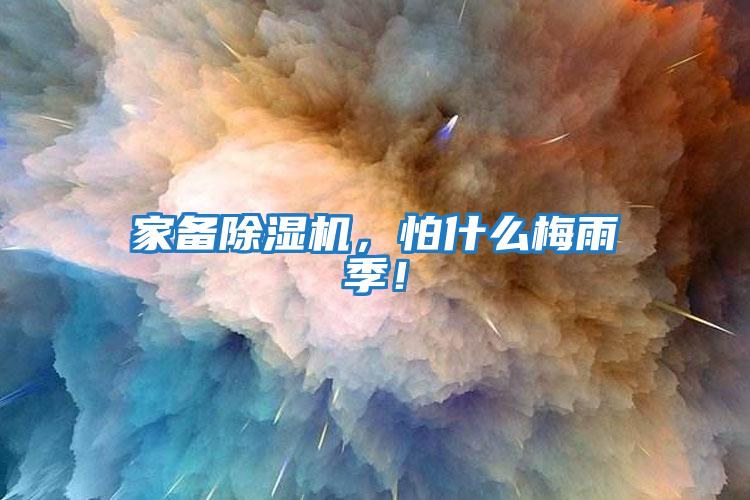 家備除濕機(jī)，怕什么梅雨季！
