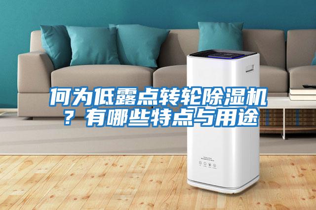 何為低露點轉(zhuǎn)輪除濕機？有哪些特點與用途