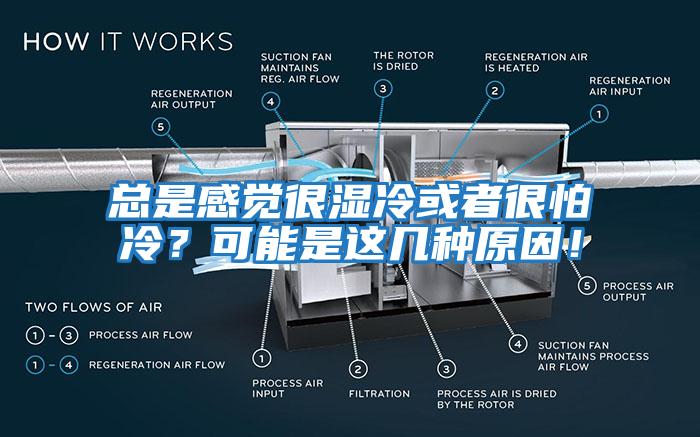 總是感覺很濕冷或者很怕冷？可能是這幾種原因！