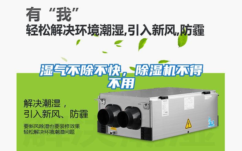 濕氣不除不快，除濕機不得不用