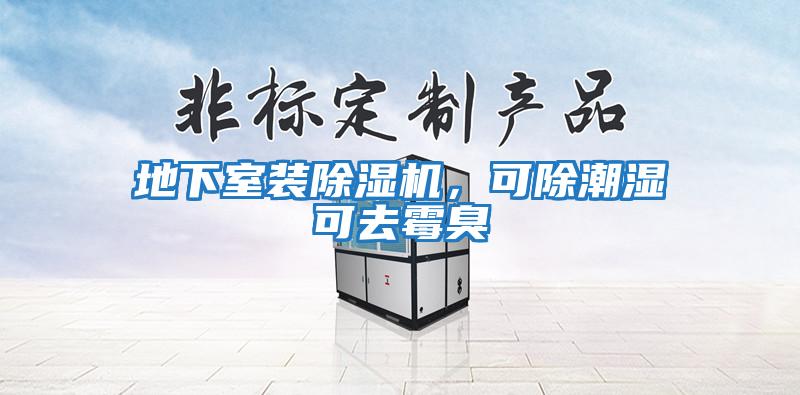 地下室裝除濕機(jī)，可除潮濕可去霉臭