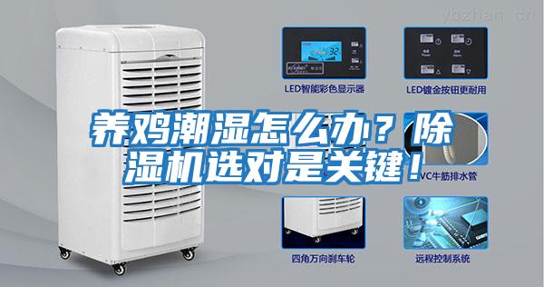 養(yǎng)雞潮濕怎么辦？除濕機(jī)選對(duì)是關(guān)鍵！