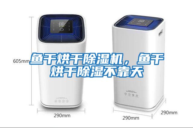 魚干烘干除濕機，魚干烘干除濕不靠天