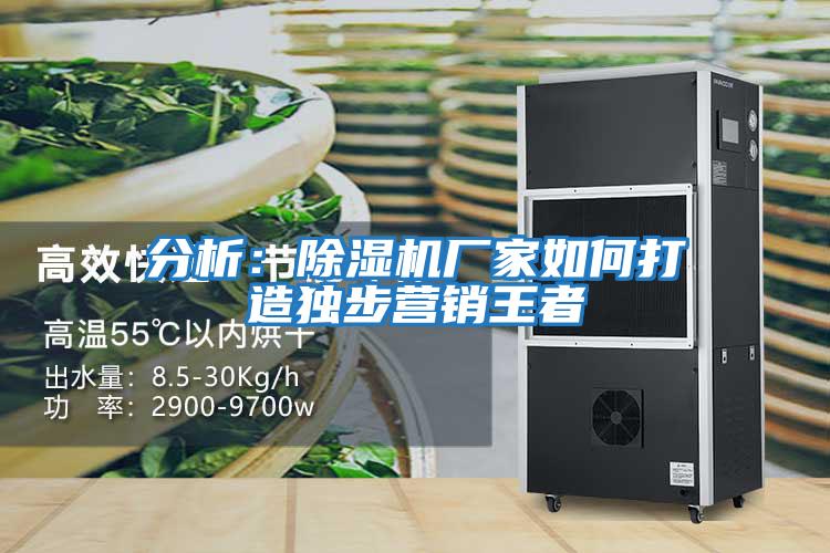 分析：除濕機(jī)廠家如何打造獨步營銷王者