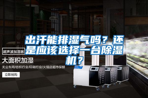 出汗能排濕氣嗎？還是應(yīng)該選擇一臺除濕機(jī)？