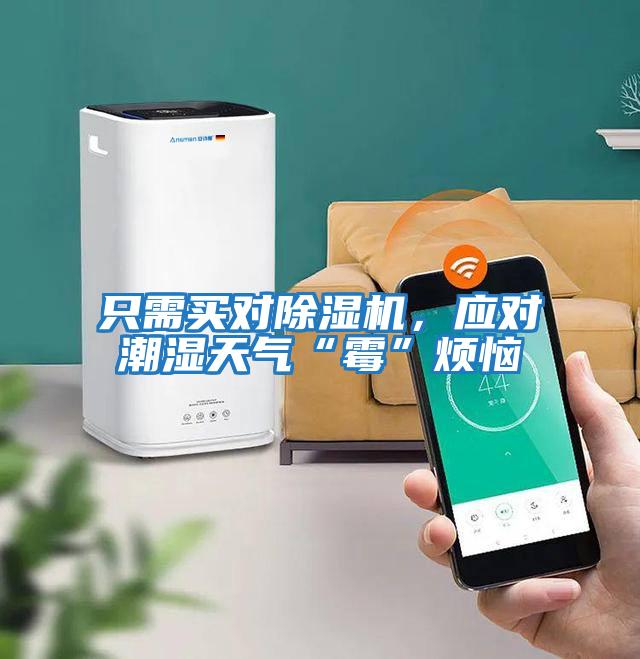只需買對除濕機，應對潮濕天氣“霉”煩惱