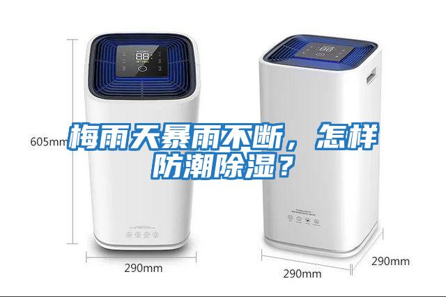 梅雨天暴雨不斷，怎樣防潮除濕？