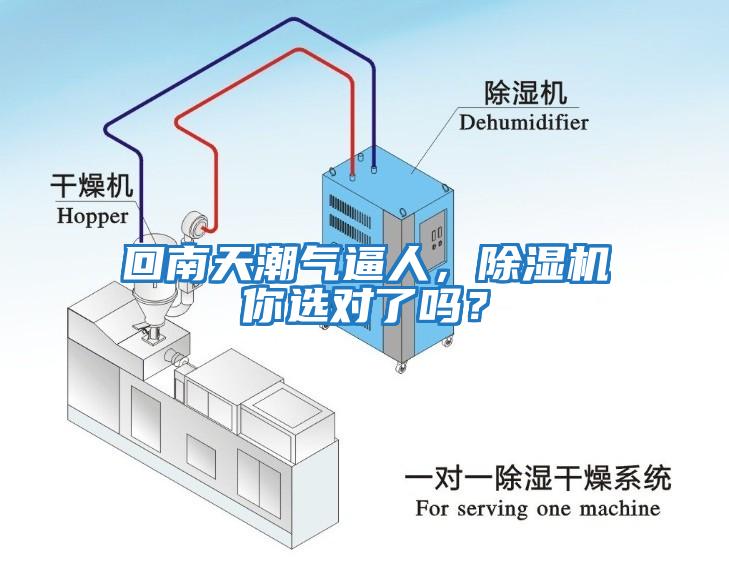 回南天潮氣逼人，除濕機你選對了嗎？