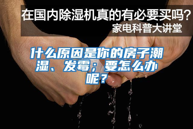 什么原因是你的房子潮濕、發霉；要怎么辦呢？
